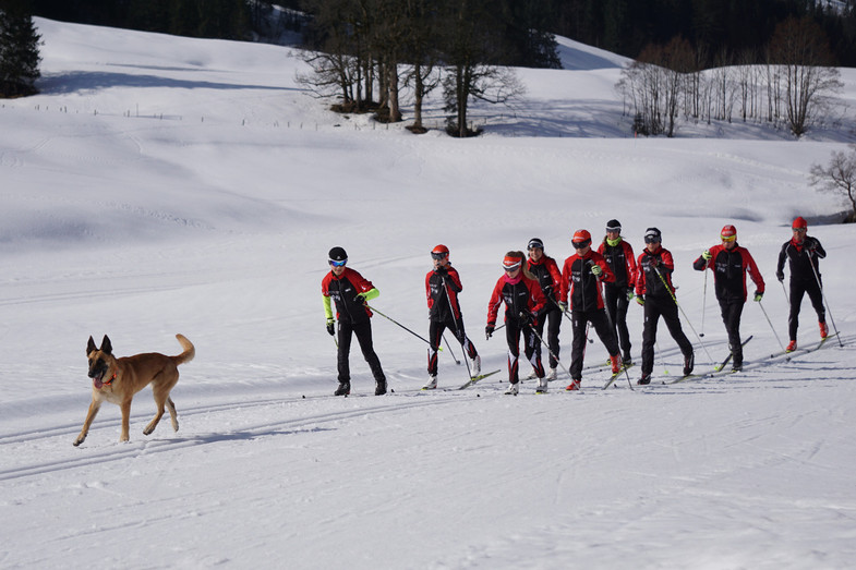 Training Klassisch Huskies