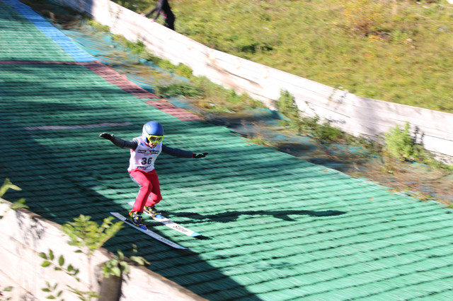 Toller Telemark von Kacper Misiek