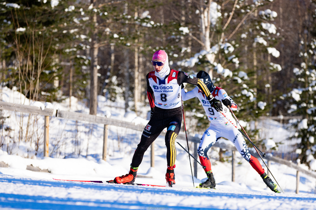 David Mach - Fot. https://www.nocogirls.com/